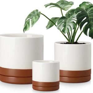 Ceramic Pots for Plants, Plant Pots for Indoor Plants